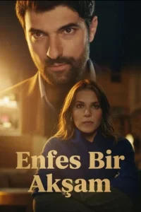 Восхитительный вечер